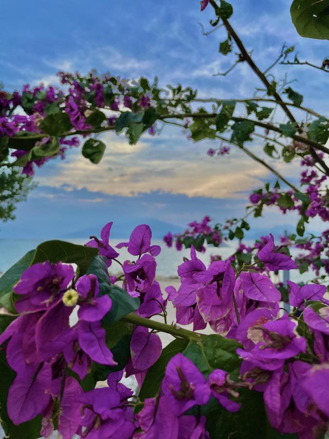 Du Lac Aparments Desenzano del Garda Exterior foto
